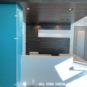 Wall and Ceiling Panels